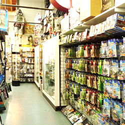 Store Image