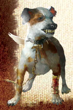 Dog